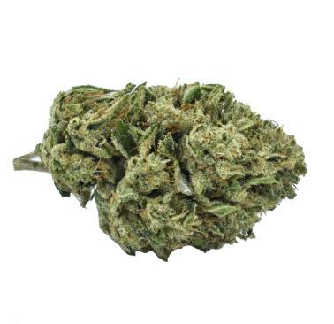 Remedy - Oaksterdam OG