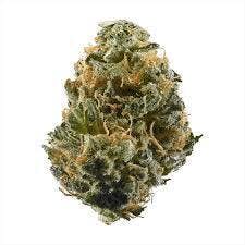 Safety Meeting: Secret Stash - Marmalade (14G)