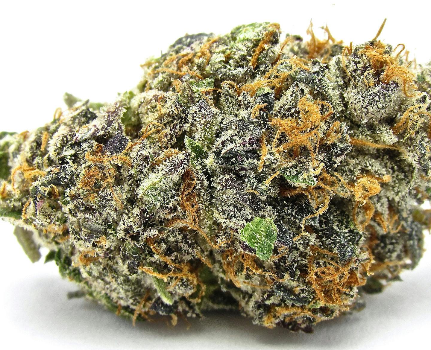 Grower Circle - Super Boof