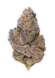 Cookies x The Grower Circle Blueberry Caviar