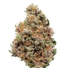 Secret Stash - Dosilato (14G)