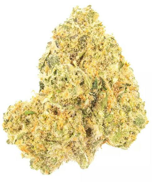 Grassroots: Secret Stash - Orange Beltz (14G)