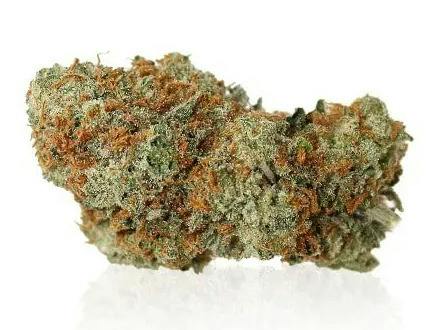 Mojo: Secret Stash - Glue Tang (14G)