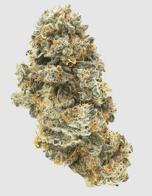 Jasper: Secret Stash - Double Baked Cake (14G)