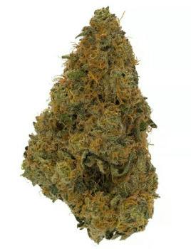 Baseline: Secret Stash - Cheddar Cheeze (14G)
