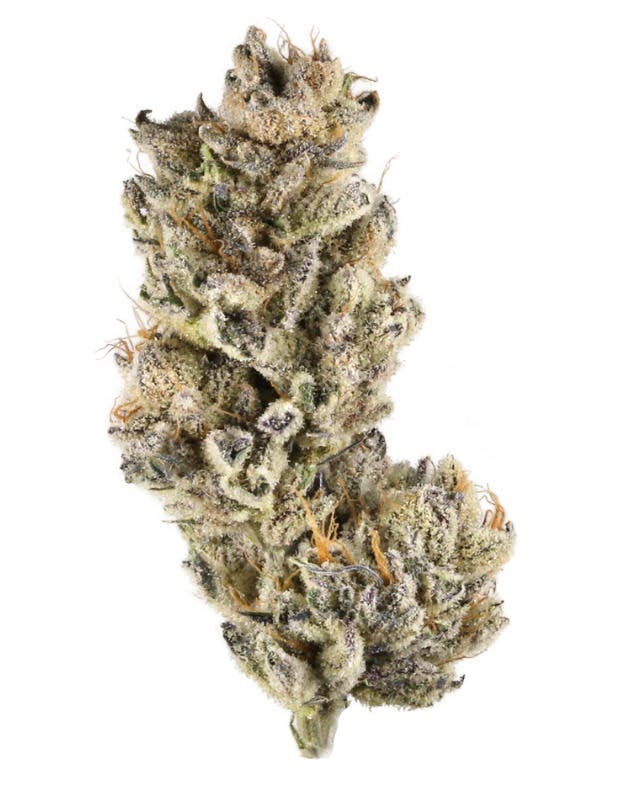 Essentials - Blue Slushie (28G)