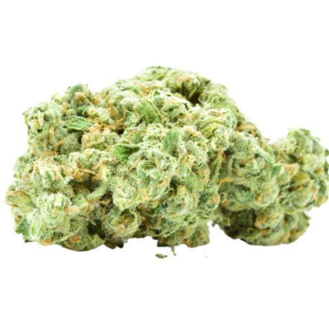 Clout King - Brain Freeze (7G)
