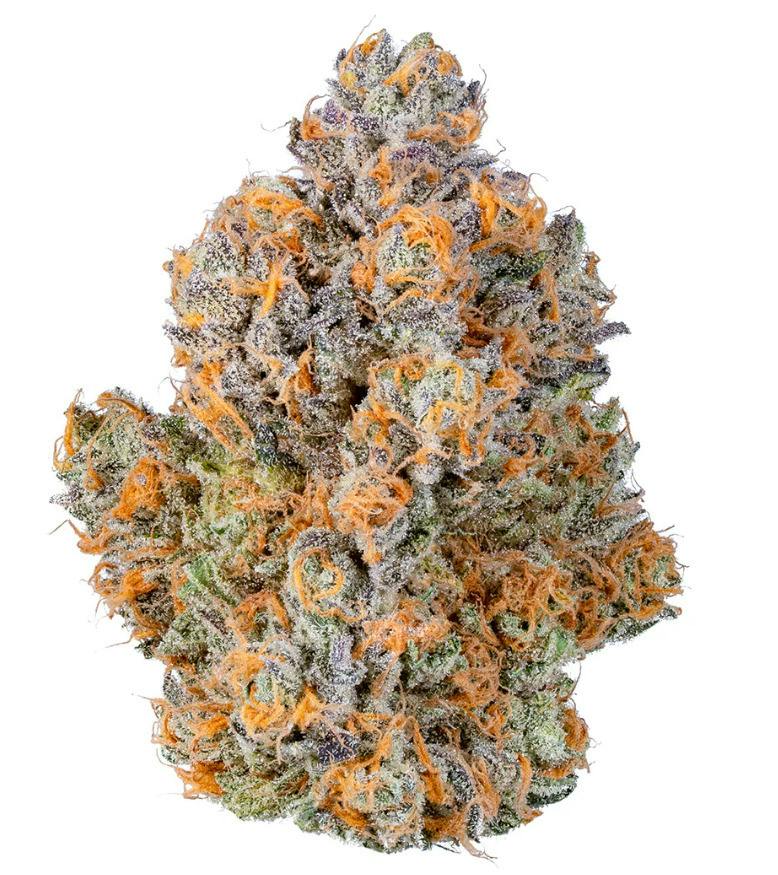 Sundae Co. - Gelato Headband