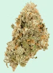 Mojo: Secret Stash - Gelatti (14G)