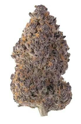 Mojo: Secret Stash - Highlighterz (14G)