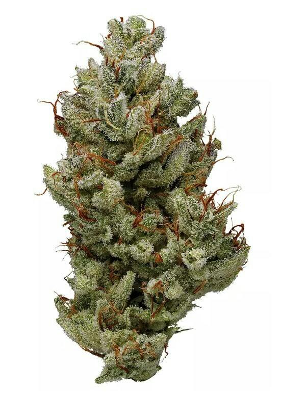 Mojo: Secret Stash - Blue Power (14G)