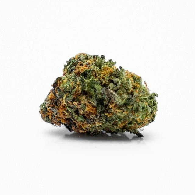Mojo: Secret Stash - Dying Dreaming (14G)