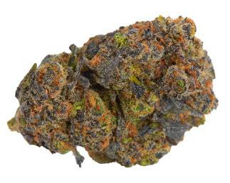 Hustlers Ambition - Gelato #41