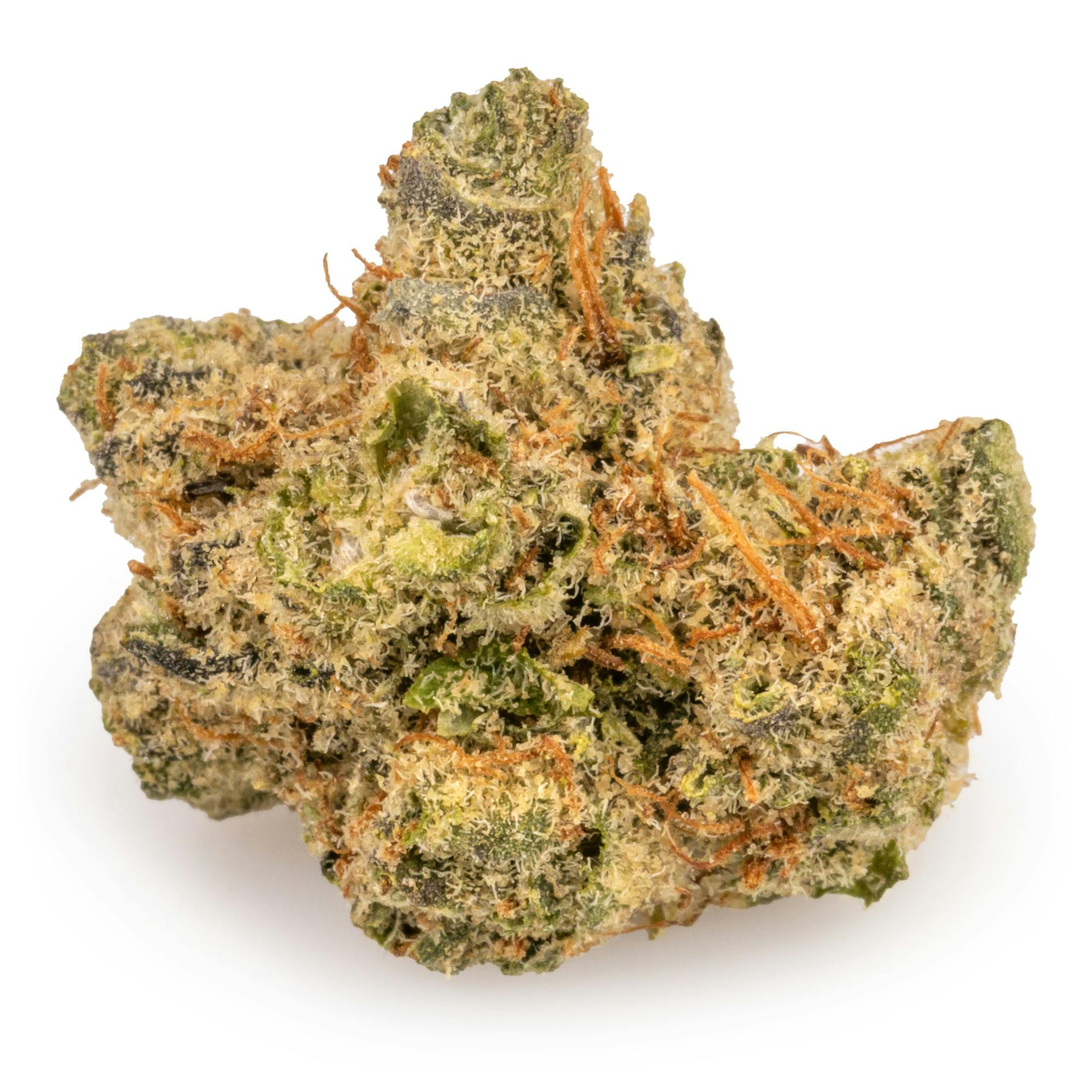 Mojo: Secret Stash - Orange Beltz (14G)