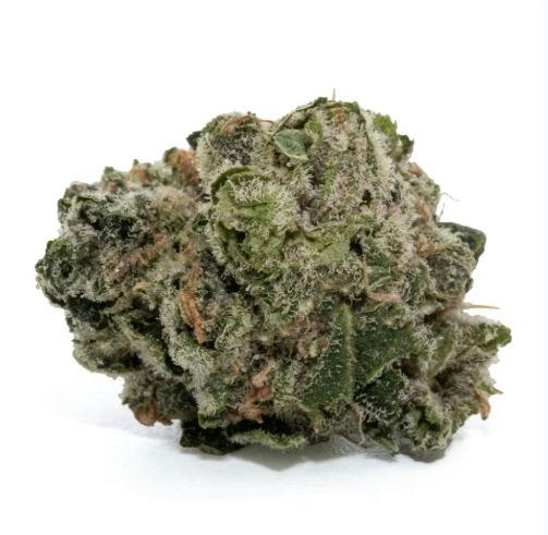Srene: Secret Stash - Rose Sorbet (14G)