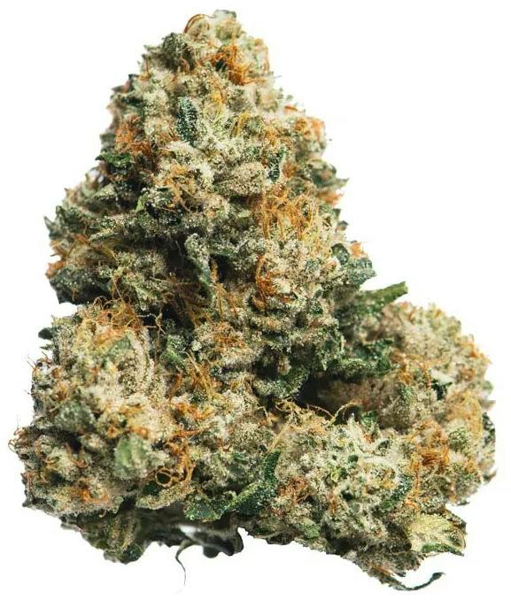 Jasper: Essentials - Legend OG (14G)