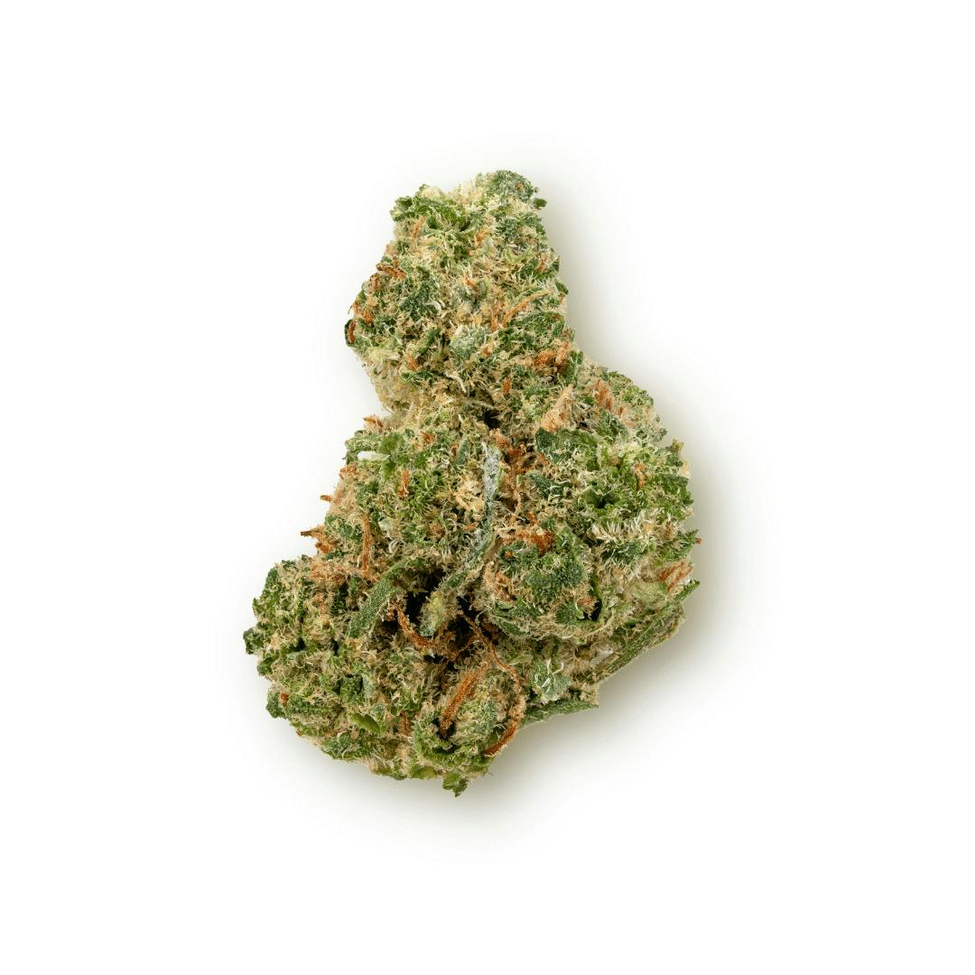 Mojo: Secret Stash - Lemon Pacs (14G)