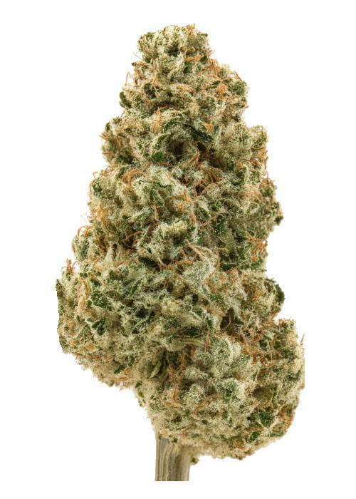 Mojo: Essentials - Double Diamond (14G)