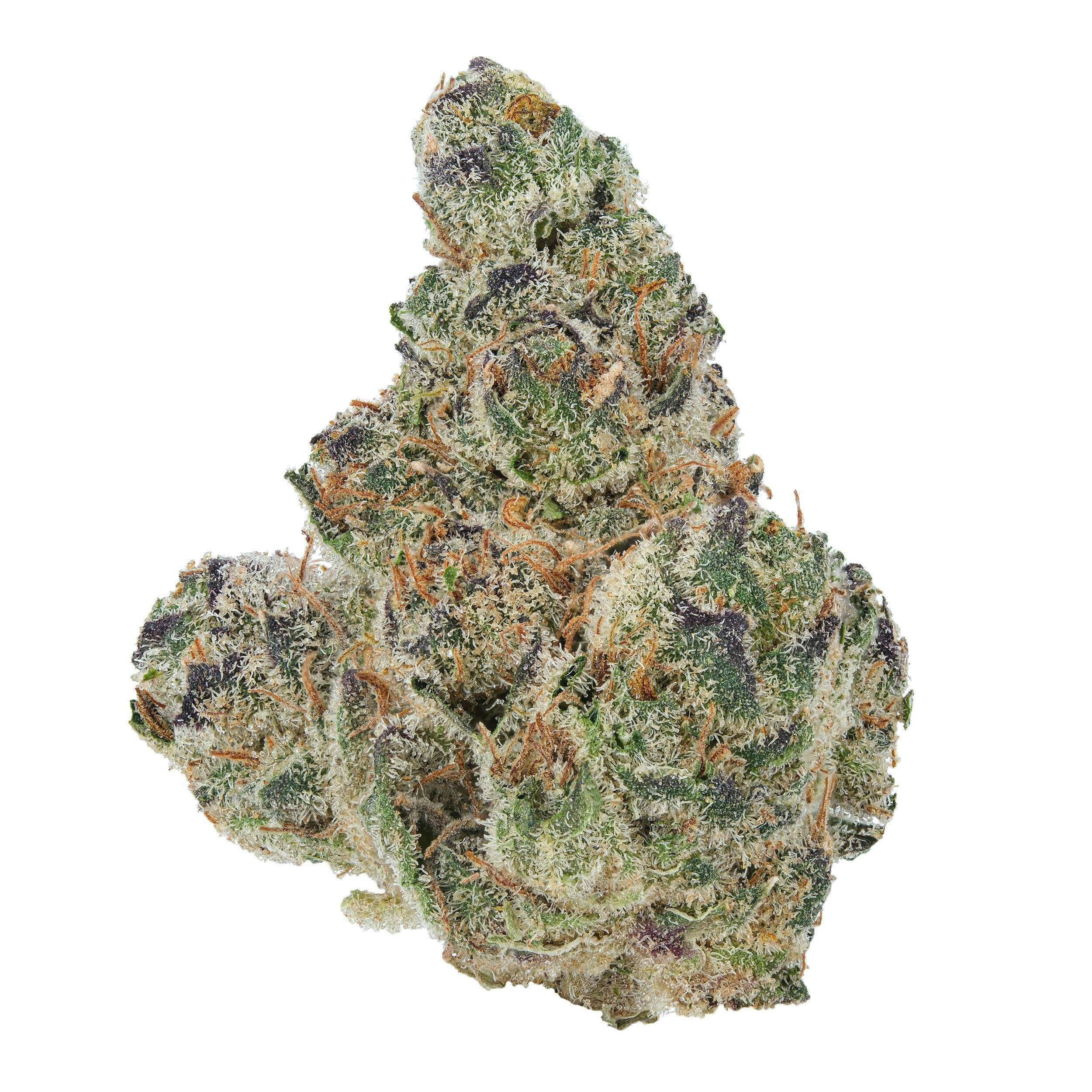 AMA: Secret Stash - Iced Out Biscuit (14G)