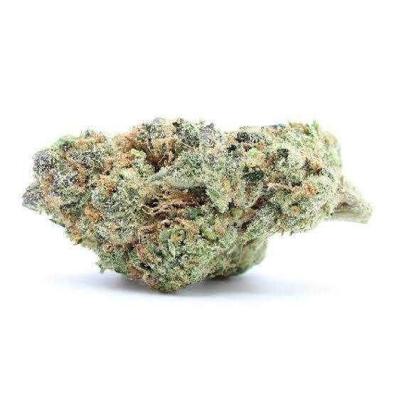 BLVD - Animal Cookies
