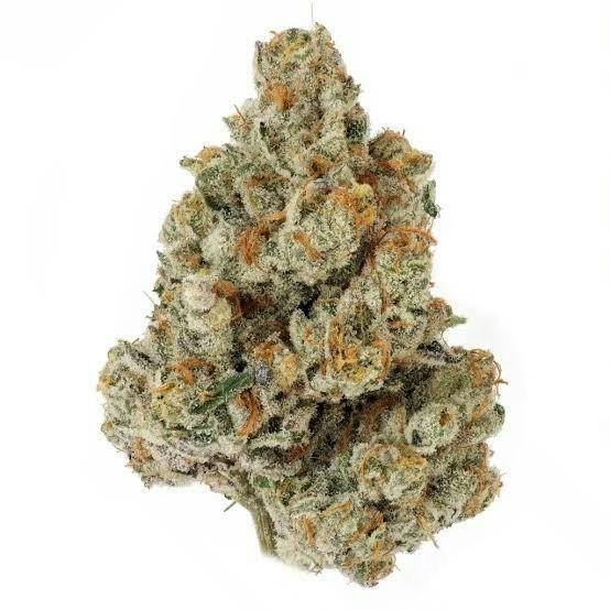 State Flower - Honey Runtz
