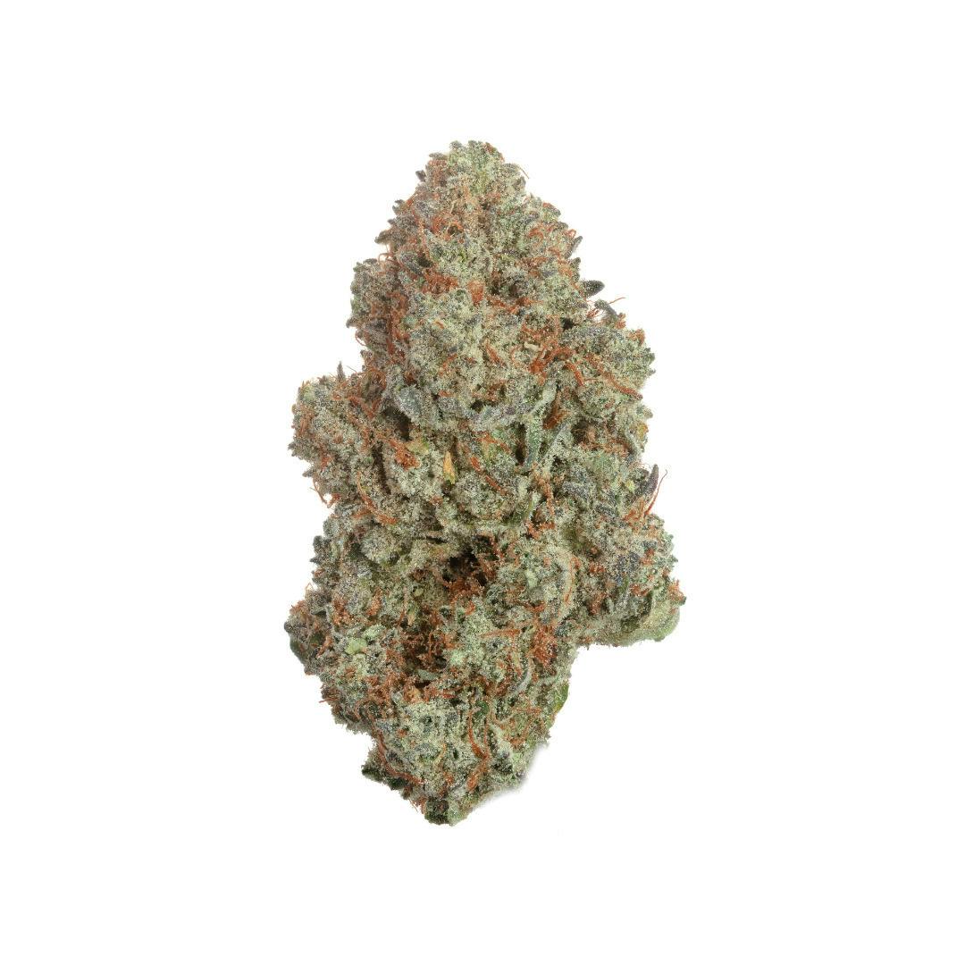 Peach Hash Plant