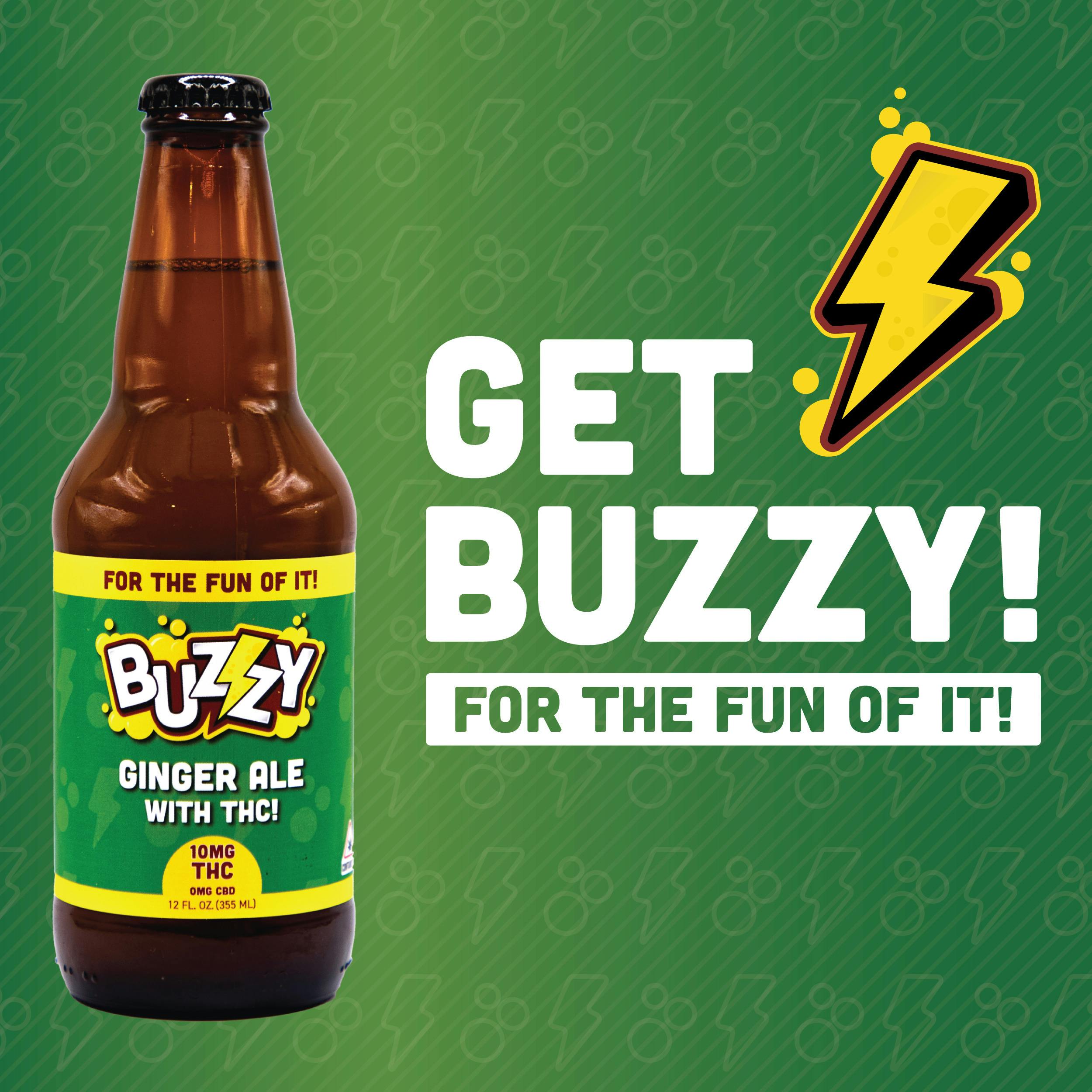 Buzzy Ginger Ale - 10mg/1pk at East Coast Cannabis Dispensary - Lebanon