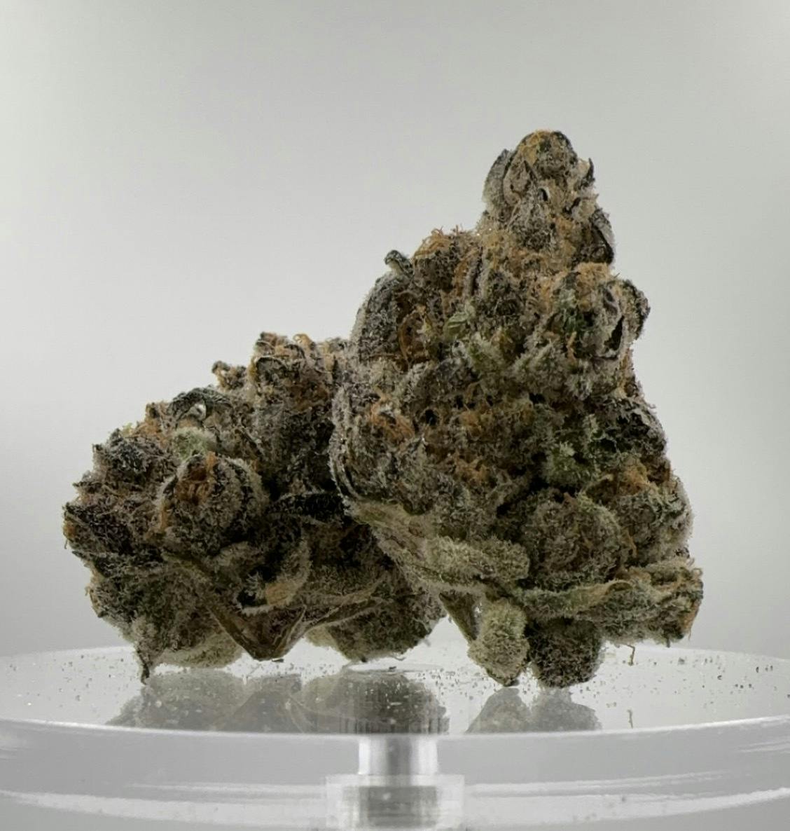 Value | Blue Cheese cannabis product