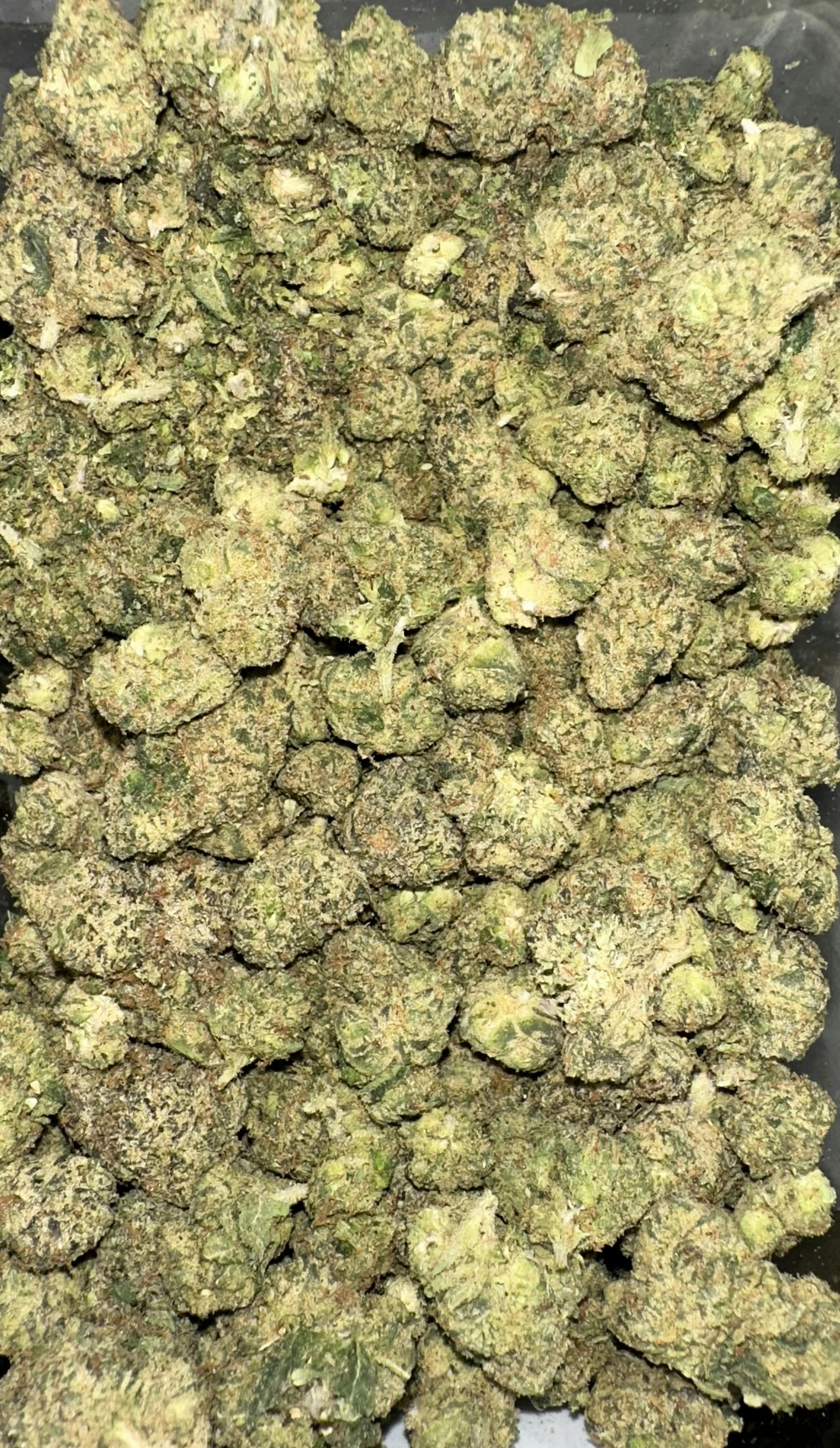 Pop Canna | Bolo Runtz