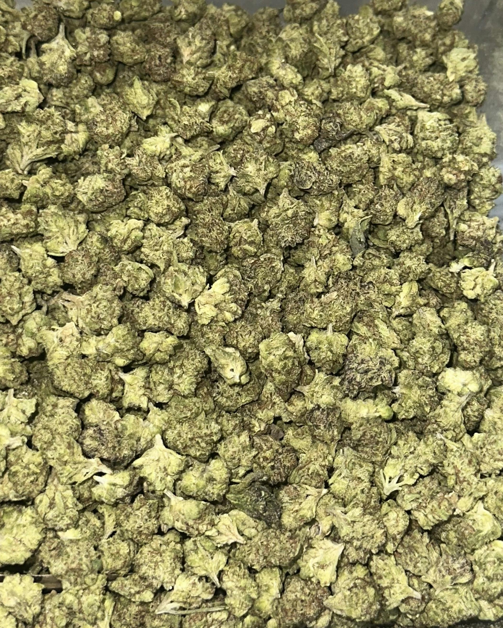 Good Weed | Gelato Animal (Smalls) cannabis product