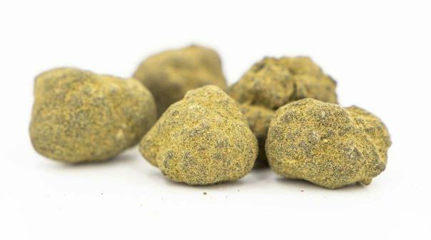 Zooties | Tropical Z | Moonrocks
