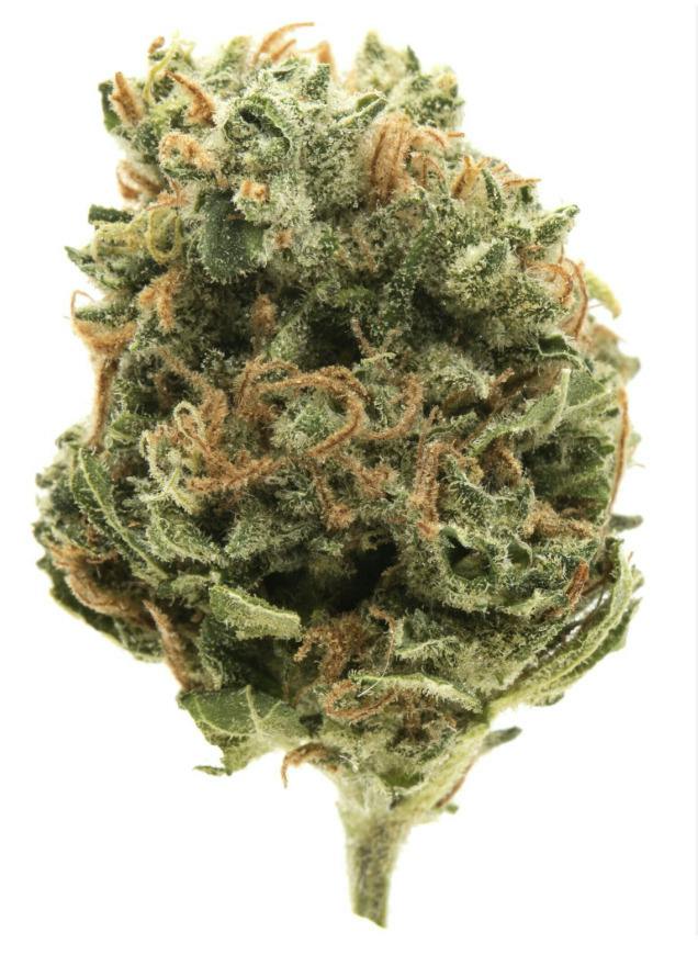 Tango Jack | Oreoz | Private Tier cannabis product