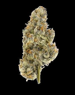 Michigander Fire | London Cherry Gelato | Deli cannabis product