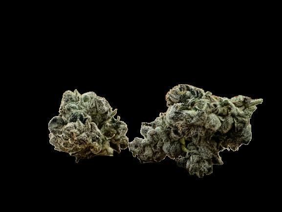 Good Weed | Sherb Cream Pie cannabis product