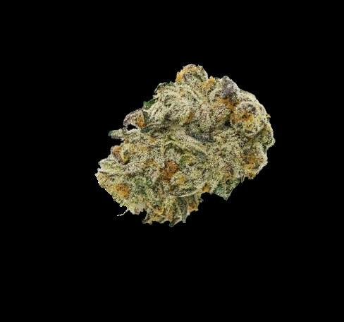Doghouse | Petrol Parfait cannabis product