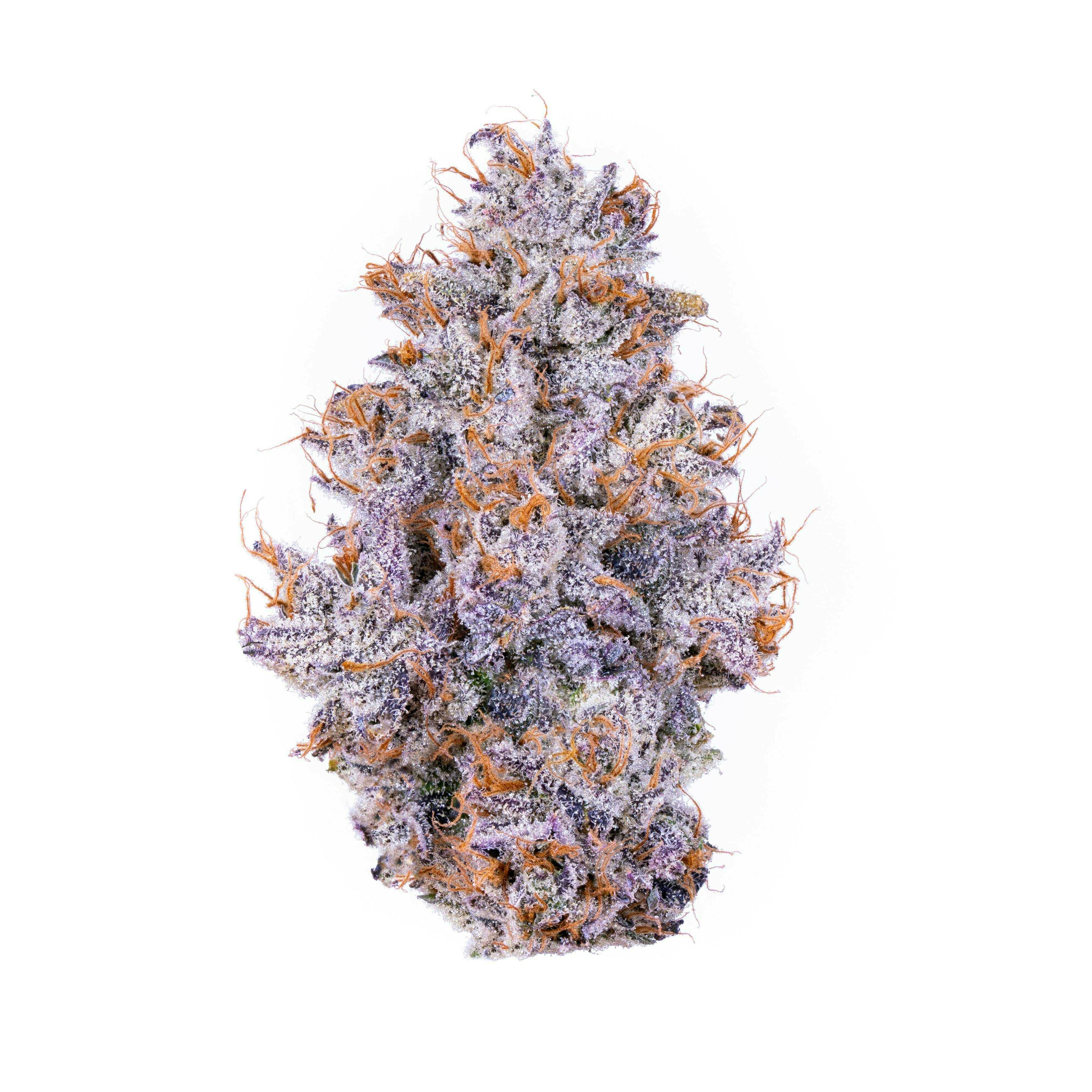 Biskante | 3.5g - 1 item