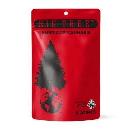 Big Tree - Mango Haze: X 5