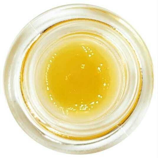Bilancio - Citrus Nova | 1g Sauce