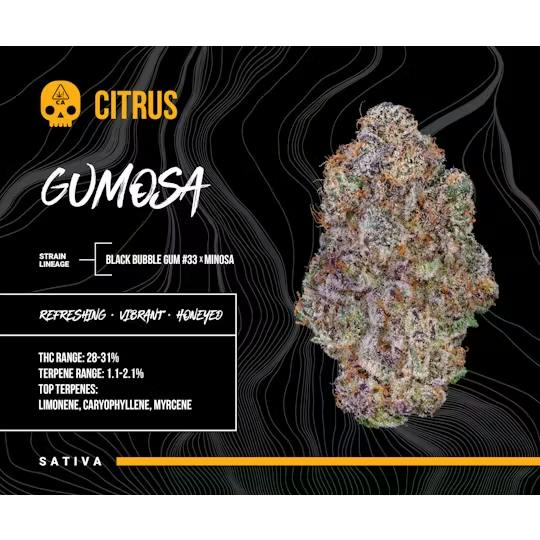 GUMOSA 3.5G - BOSKY