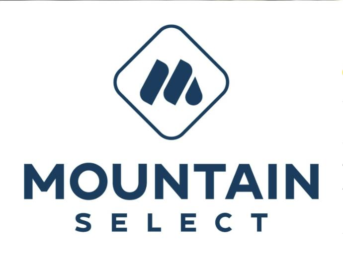 Mountain Selects Papaya Cake Live Badder 1g