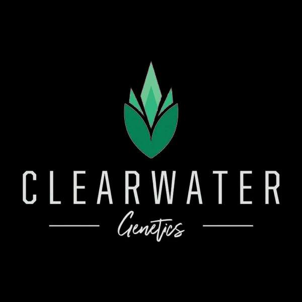 Clearwater Big Dipper $50 POPCORN OUNCE
