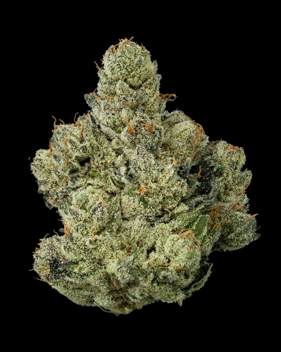 Gastopia, Flower, 28g Smalls