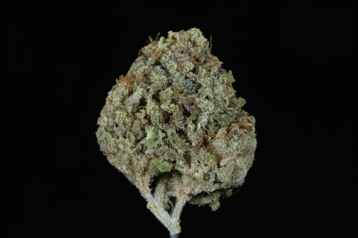 Purple Berry Kush (29.31% THC)