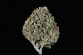 Purple Berry Kush (30.03% THC)