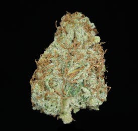 Girl Scout Cookies (THC 28.22%)