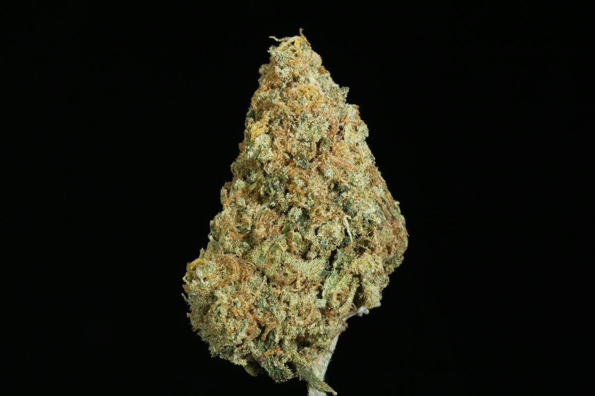 Jack Herer Flower (27.85% THC)