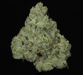 Mango Cream Flower (THC:18.60%)