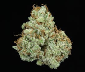 Aurora Cookies Flower (THC 29.42%)