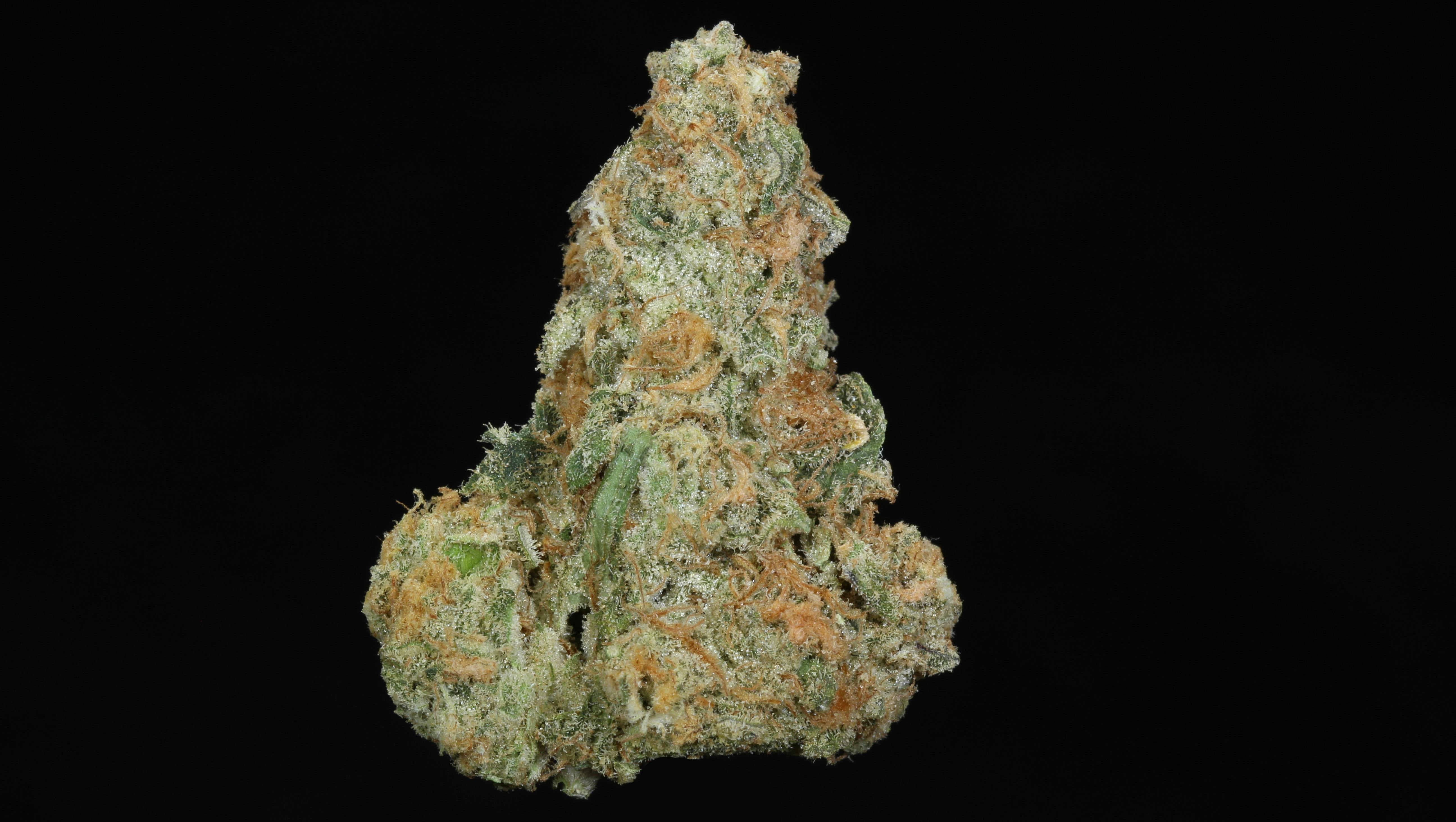Pineapple Burst Flower (29.55% THC)