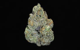 Ripped Off Runtz (THC:25.11%)